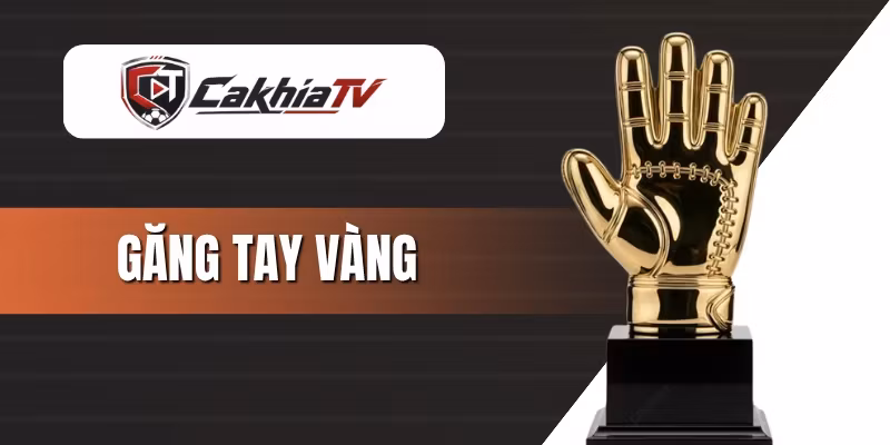 Găng Tay Vàng Là Gì? Ý Nghĩa Của Chúng Với Bóng Đá Thế Giới
